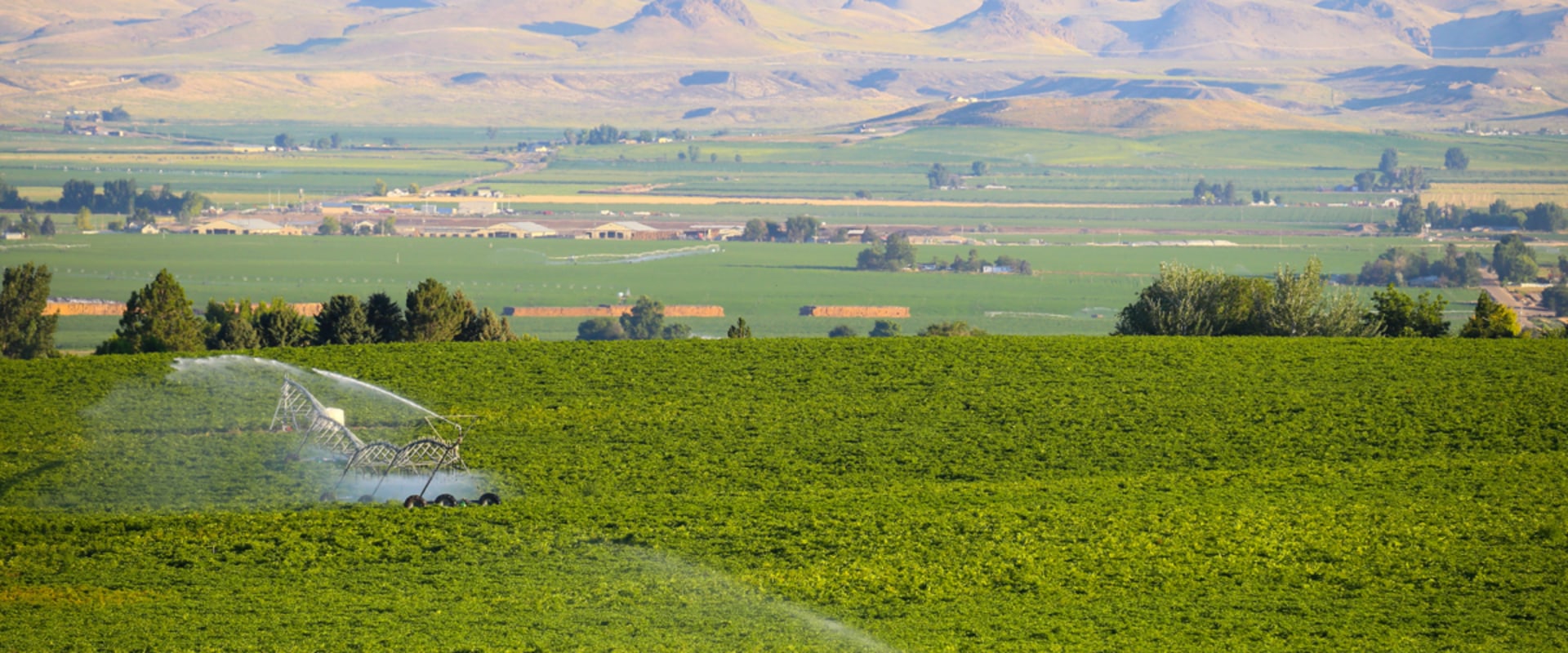 The Impact of Cost of Living on Farmers in Canyon County, ID